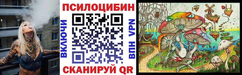 закладка  Козельск  Галлюциногенные грибы Magic Shrooms 
